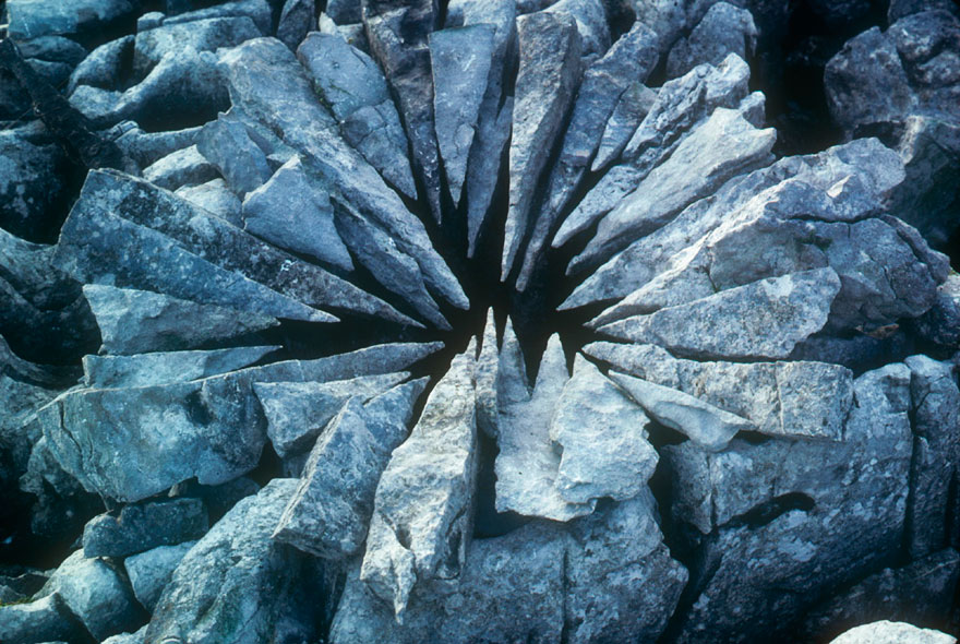 Magical Land Art By Andy Goldsworthy Magical Land Art By Andy Goldsworthy