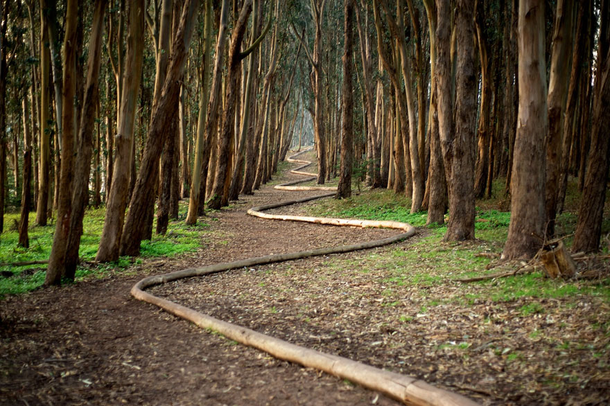 Magical Land Art By Andy Goldsworthy Magical Land Art By Andy Goldsworthy