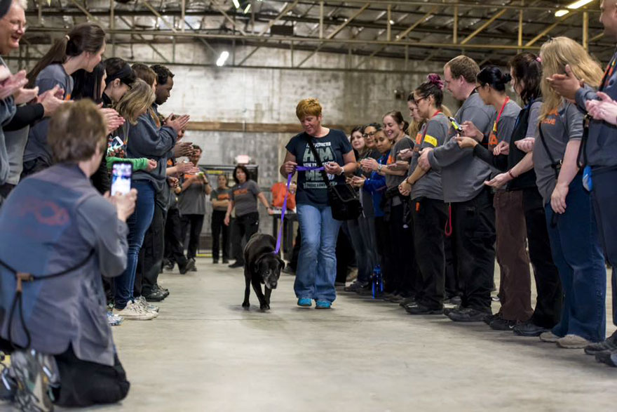 524 Dogs &#038; Cats Attended A Massive Adoption Event – And They ALL Found Homes!