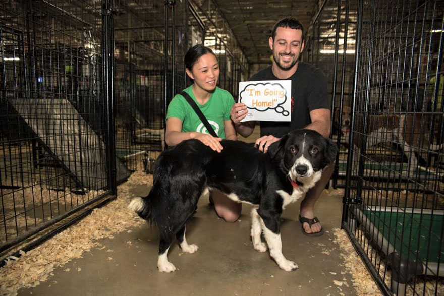 524 Dogs &#038; Cats Attended A Massive Adoption Event – And They ALL Found Homes!