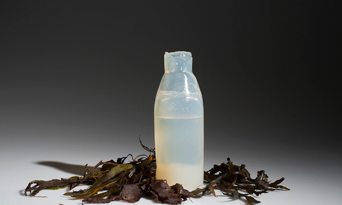 Man Invents Biodegradable Algae Water Bottles As A Green Alternative To Plastic