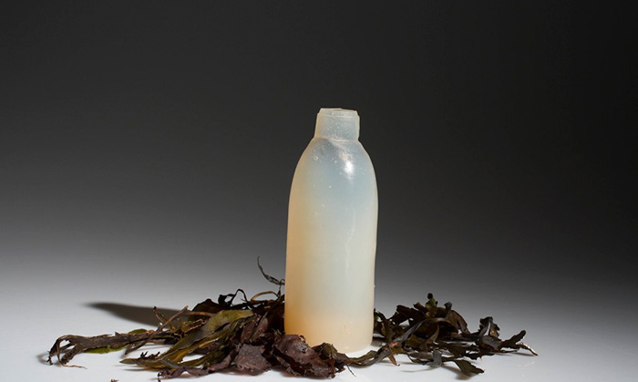Man Invents Biodegradable Algae Water Bottles As A Green Alternative To Plastic