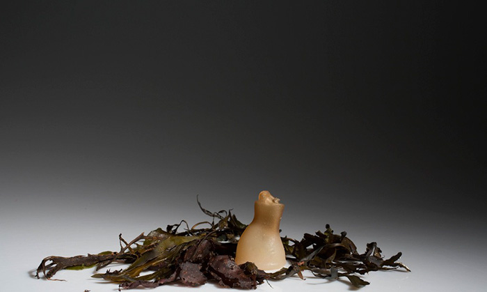 Man Invents Biodegradable Algae Water Bottles As A Green Alternative To Plastic