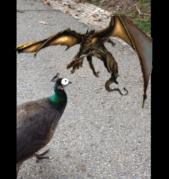 Challenge: Draw Something On This Picture