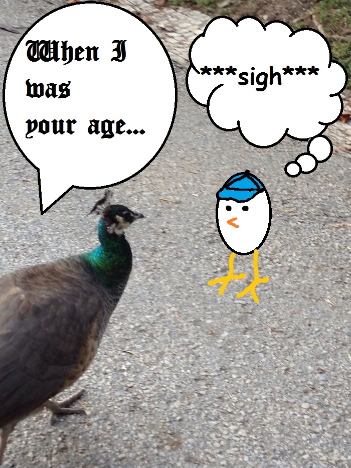 Challenge: Draw Something On This Picture