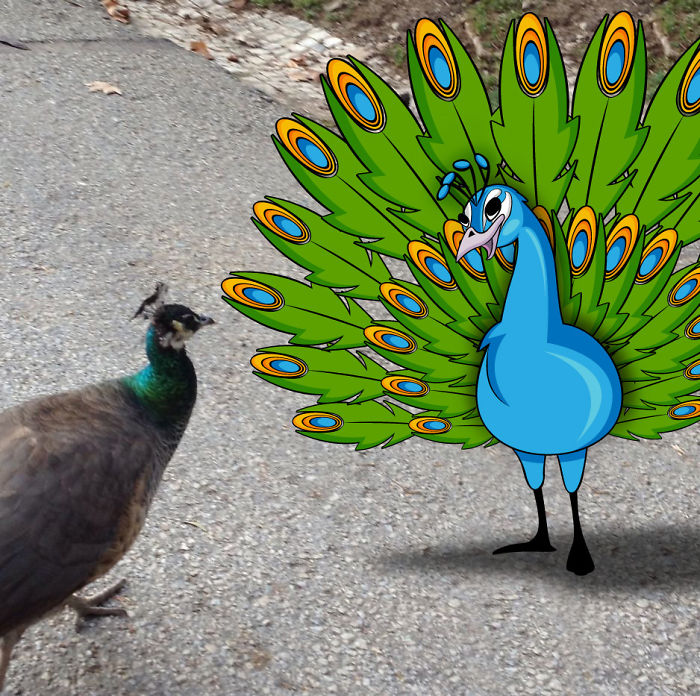 Challenge: Draw Something On This Picture