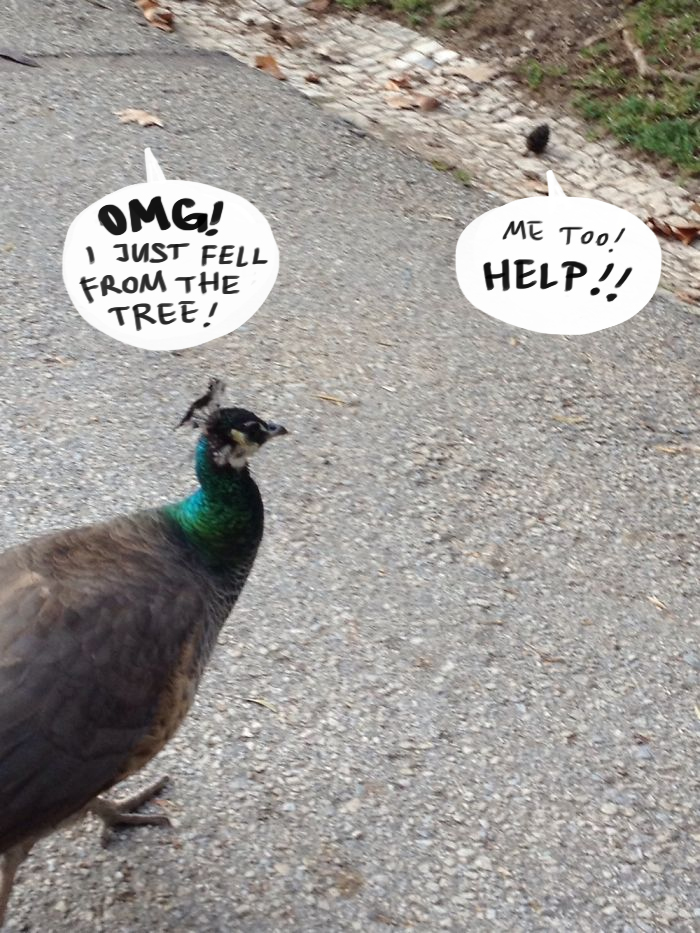 Challenge: Draw Something On This Picture