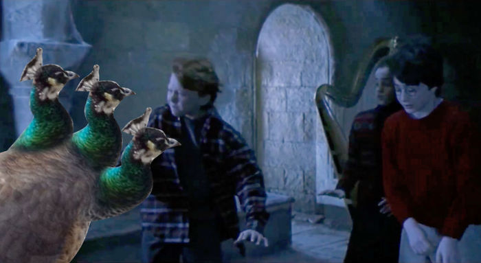 Challenge: Draw Something On This Picture