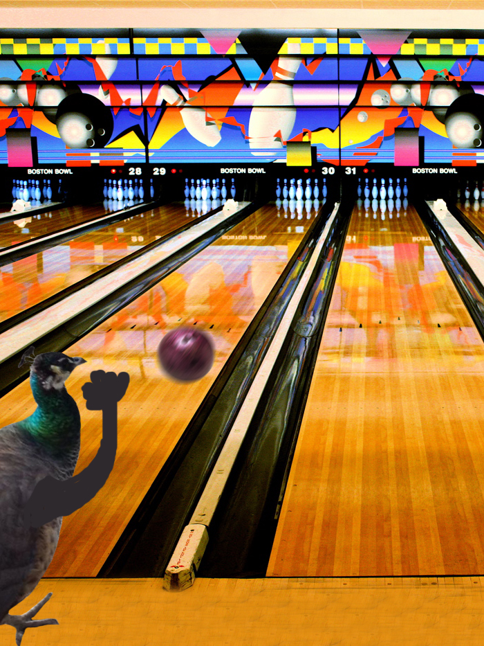 Challenge: Draw Something On This Picture