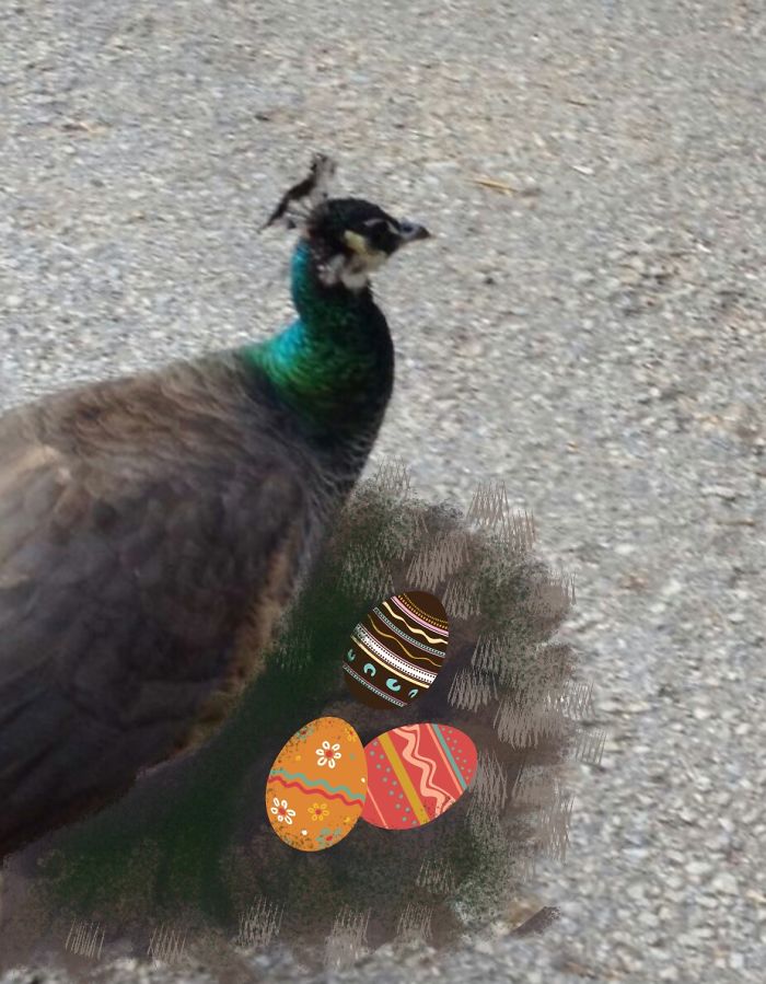 Challenge: Draw Something On This Picture