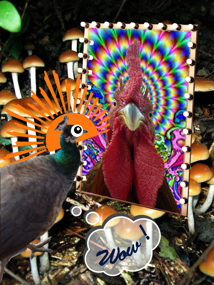 Challenge: Draw Something On This Picture