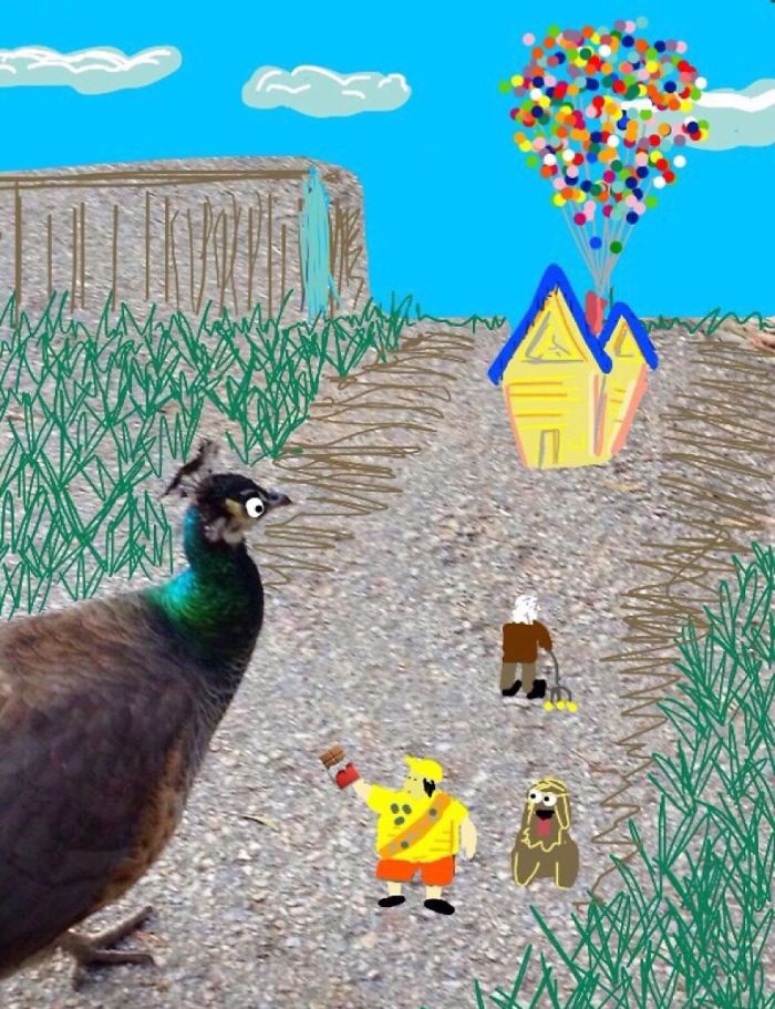 Challenge: Draw Something On This Picture