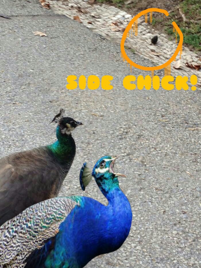 Challenge: Draw Something On This Picture