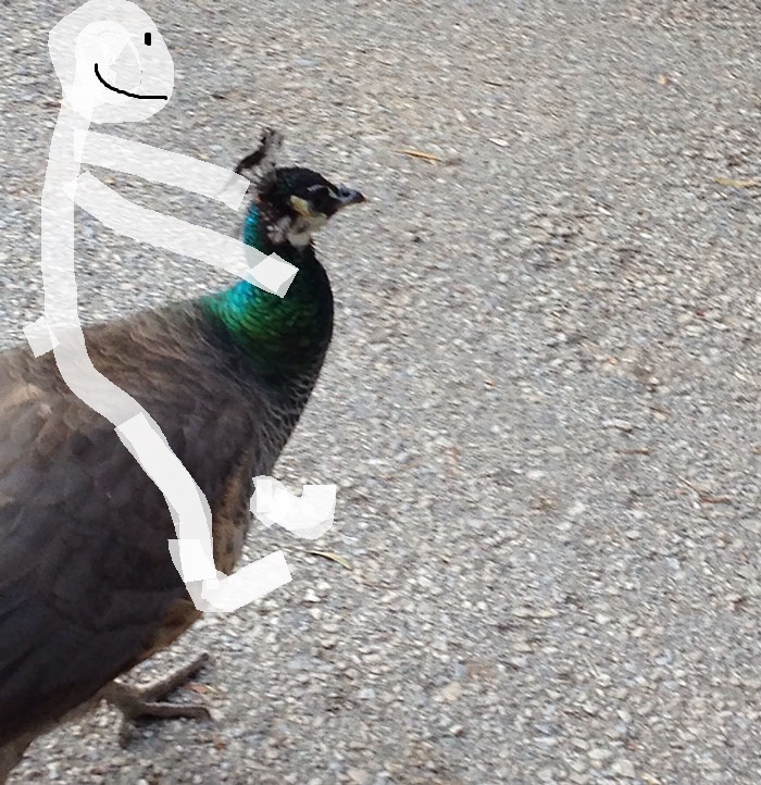 Challenge: Draw Something On This Picture