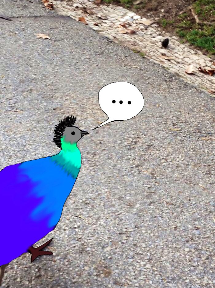 Challenge: Draw Something On This Picture