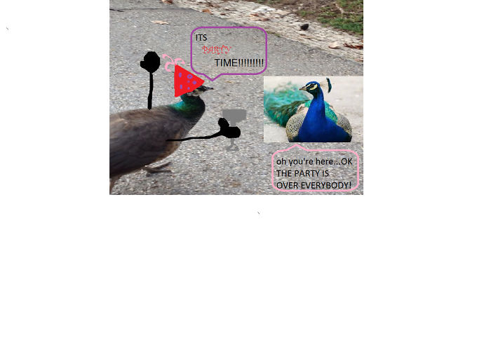 Challenge: Draw Something On This Picture