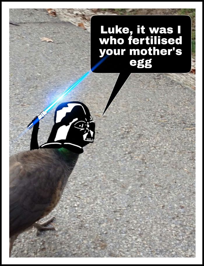 Challenge: Draw Something On This Picture