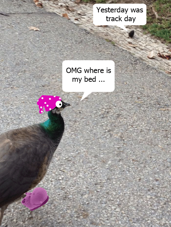 Challenge: Draw Something On This Picture