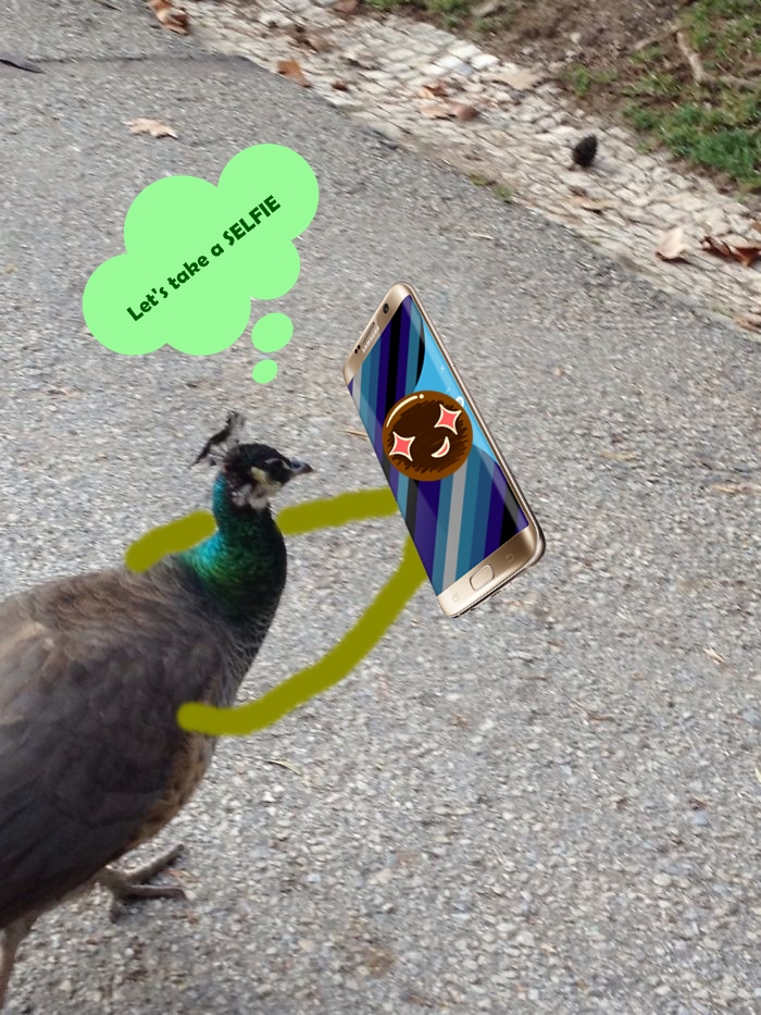 Challenge: Draw Something On This Picture