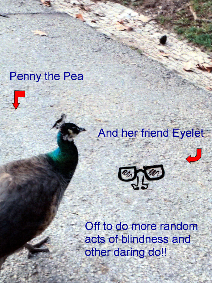 Challenge: Draw Something On This Picture