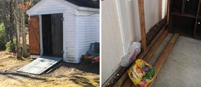 Animal Shelter Gets Robbed, And 14 Hours Later It Looks Like This Animal Shelter Gets Robbed, And 14 Hours Later It Looks Like This