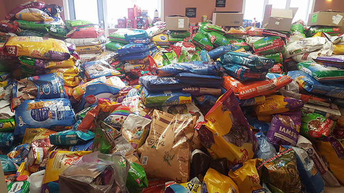 Animal Shelter Gets Robbed, And 14 Hours Later It Looks Like This Animal Shelter Gets Robbed, And 14 Hours Later It Looks Like This