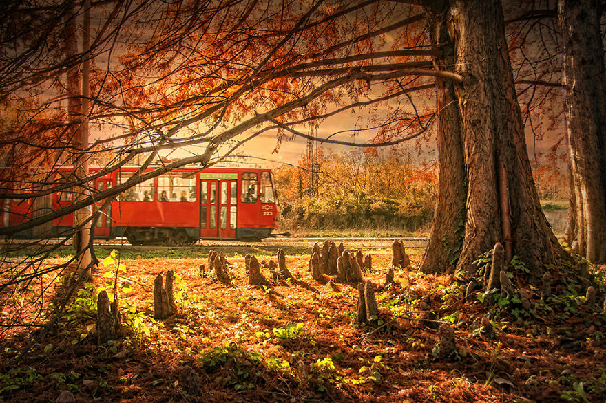 I Photograph The Beauty Of Belgrade