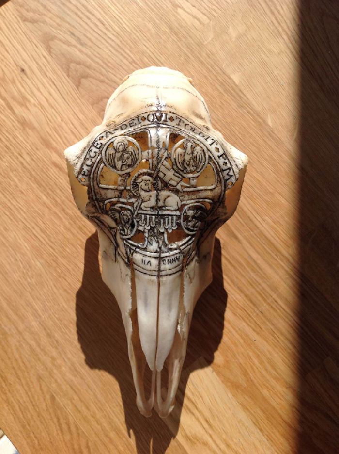 I Use Skulls As Canvases For My Art