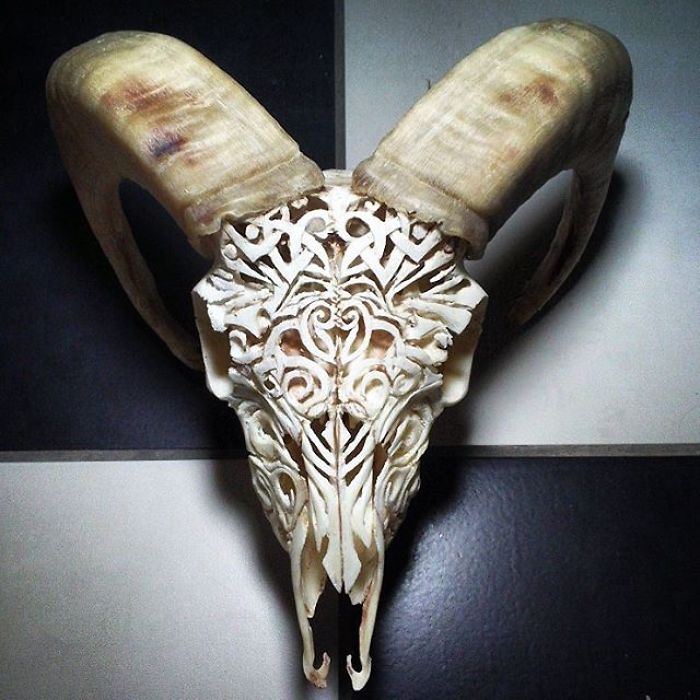 I Use Skulls As Canvases For My Art