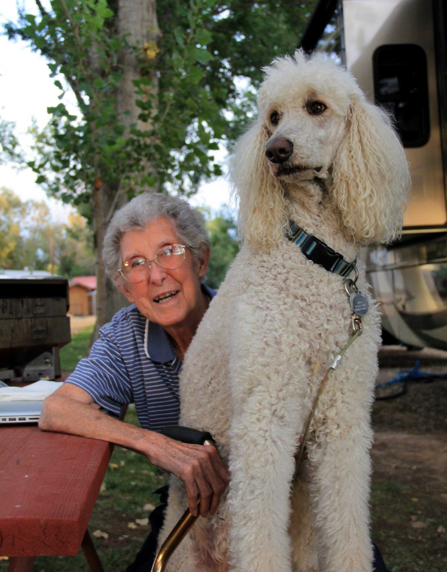 90-Year-Old Refuses Cancer Treatment And Hits The Road With Poodle