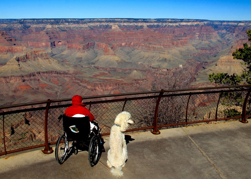 90-Year-Old Refuses Cancer Treatment And Hits The Road With Poodle 90-Year-Old Refuses Cancer Treatment And Hits The Road With Poodle