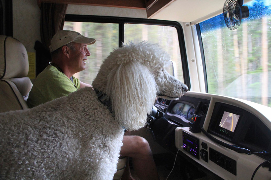 90-Year-Old Refuses Cancer Treatment And Hits The Road With Poodle 90-Year-Old Refuses Cancer Treatment And Hits The Road With Poodle