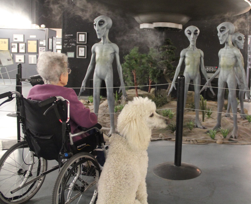 90-Year-Old Refuses Cancer Treatment And Hits The Road With Poodle 90-Year-Old Refuses Cancer Treatment And Hits The Road With Poodle