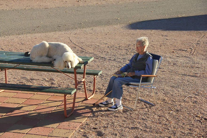 90-Year-Old Refuses Cancer Treatment And Hits The Road With Poodle 90-Year-Old Refuses Cancer Treatment And Hits The Road With Poodle
