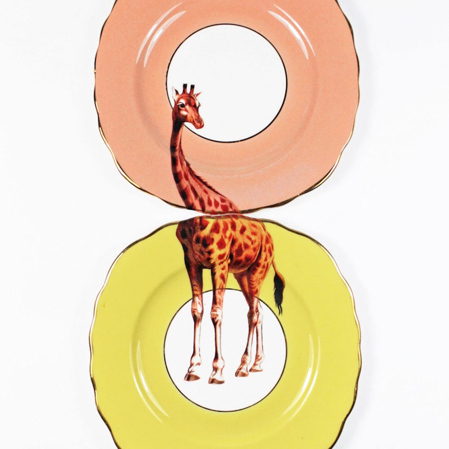 Matching Animal Plates That Need To Be Combined To See The Whole Picture Matching Animal Plates That Need To Be Combined To See The Whole Picture