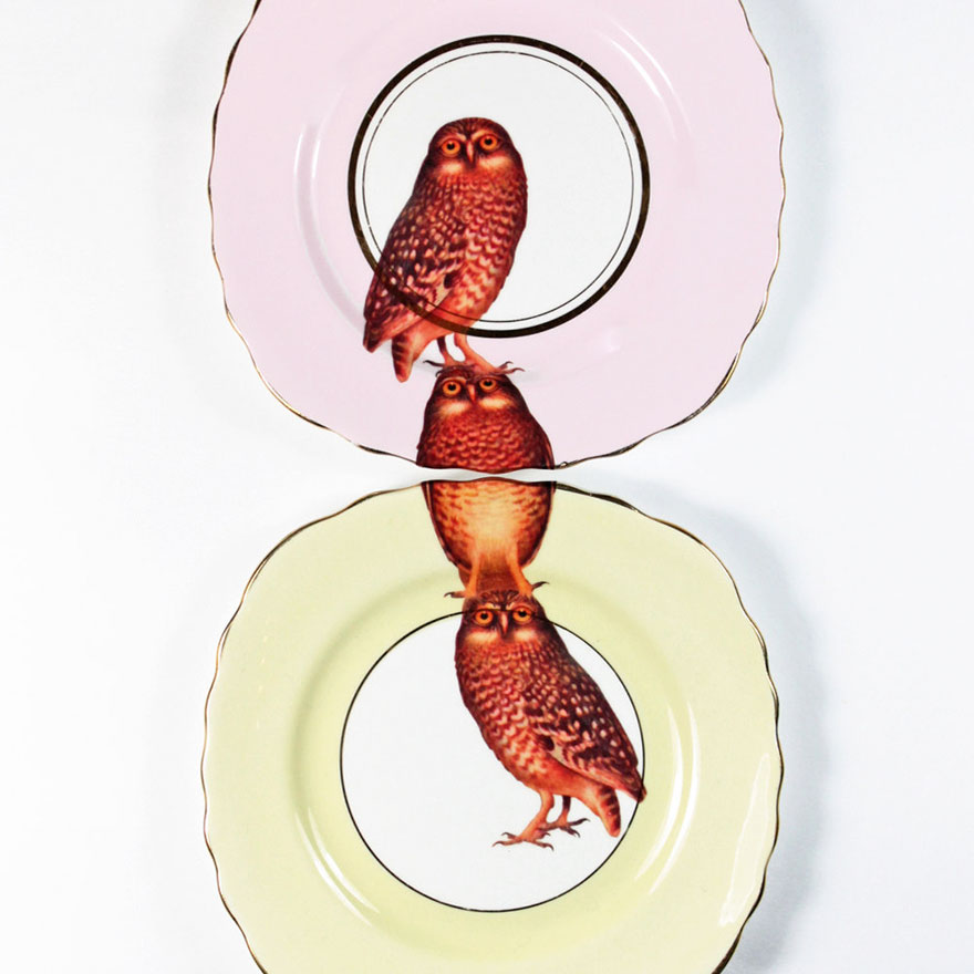 Matching Animal Plates That Need To Be Combined To See The Whole Picture Matching Animal Plates That Need To Be Combined To See The Whole Picture