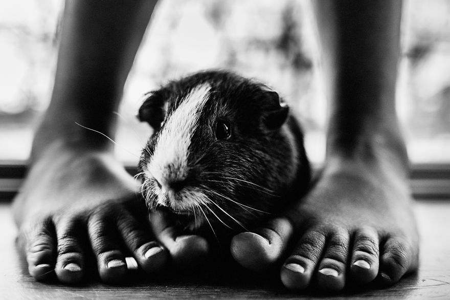 I Document The Special Bond Between My Son And His Pets