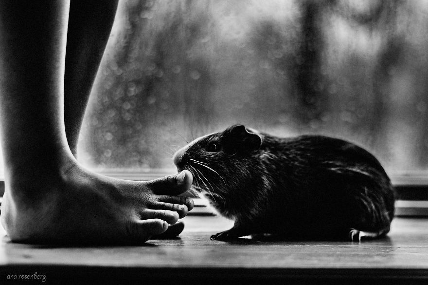 I Document The Special Bond Between My Son And His Pets