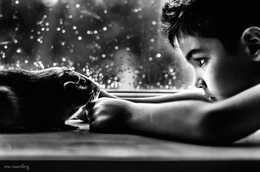 I Document The Special Bond Between My Son And His Pets