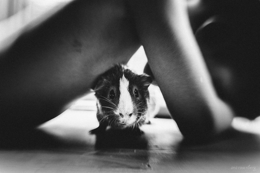 I Document The Special Bond Between My Son And His Pets