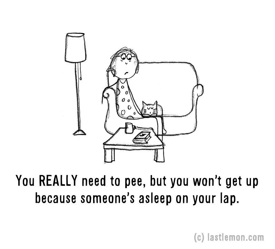 20 Signs That You&#8217;re A Crazy Cat Parent