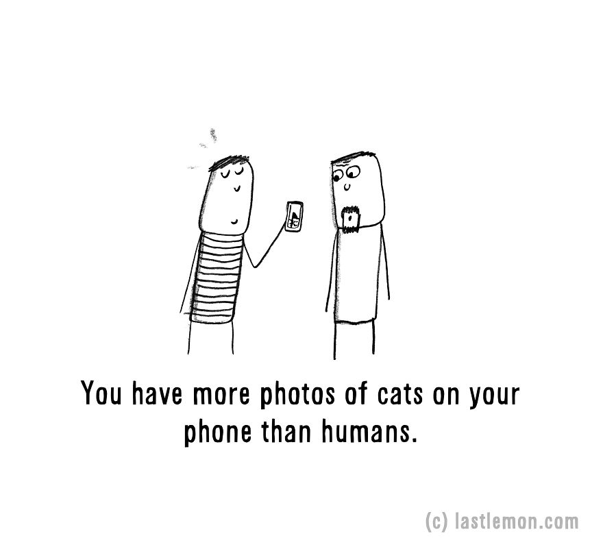 20 Signs That You&#8217;re A Crazy Cat Parent