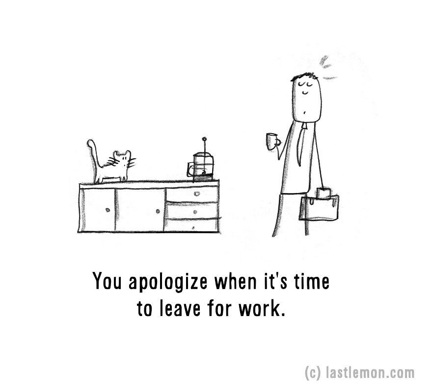 20 Signs That You&#8217;re A Crazy Cat Parent