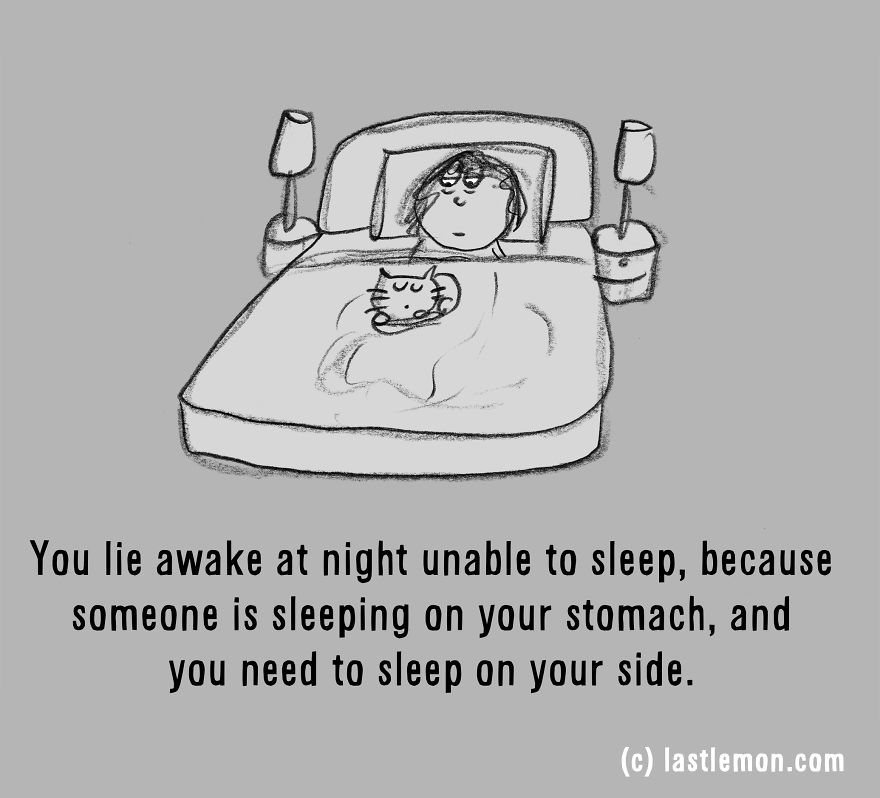 20 Signs That You&#8217;re A Crazy Cat Parent