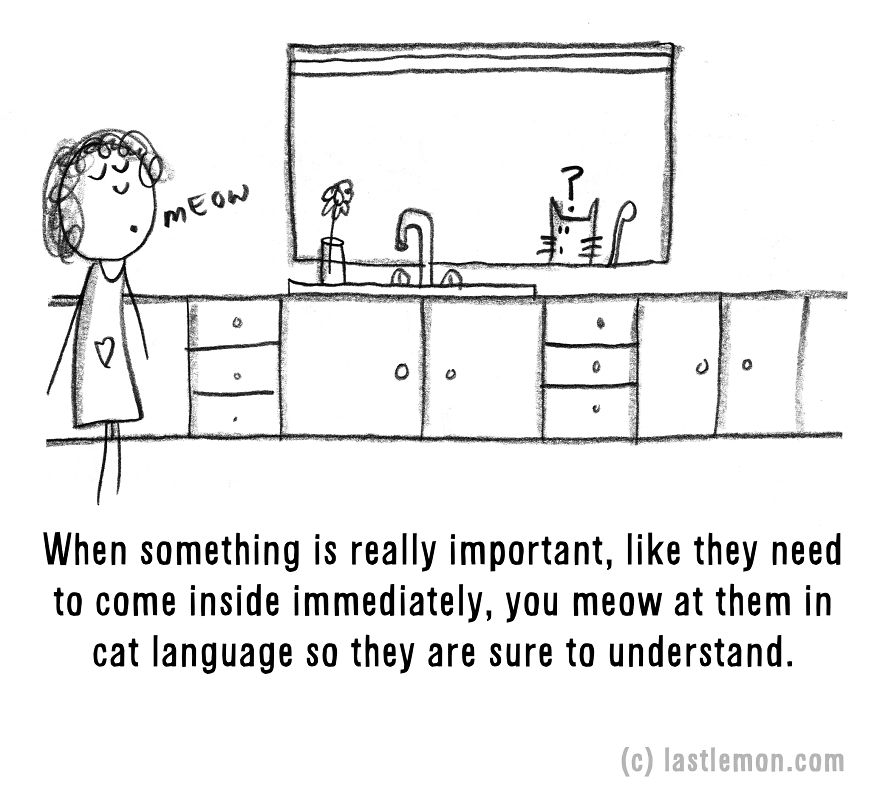 20 Signs That You&#8217;re A Crazy Cat Parent