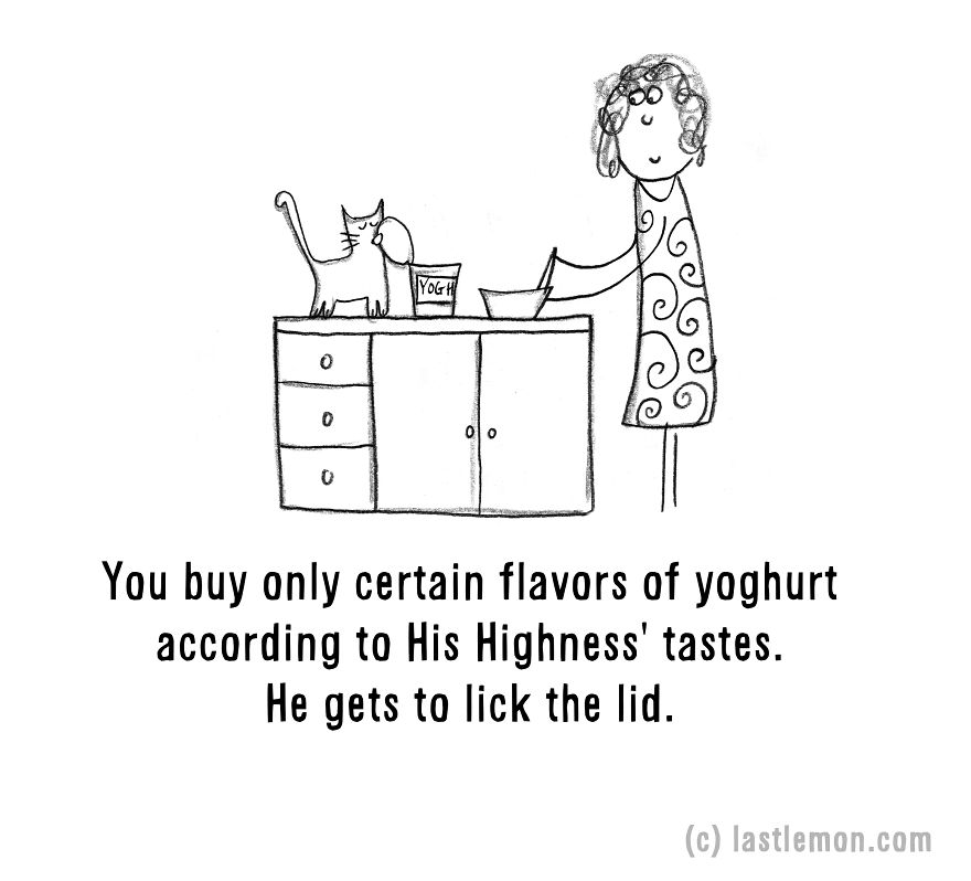 20 Signs That You&#8217;re A Crazy Cat Parent