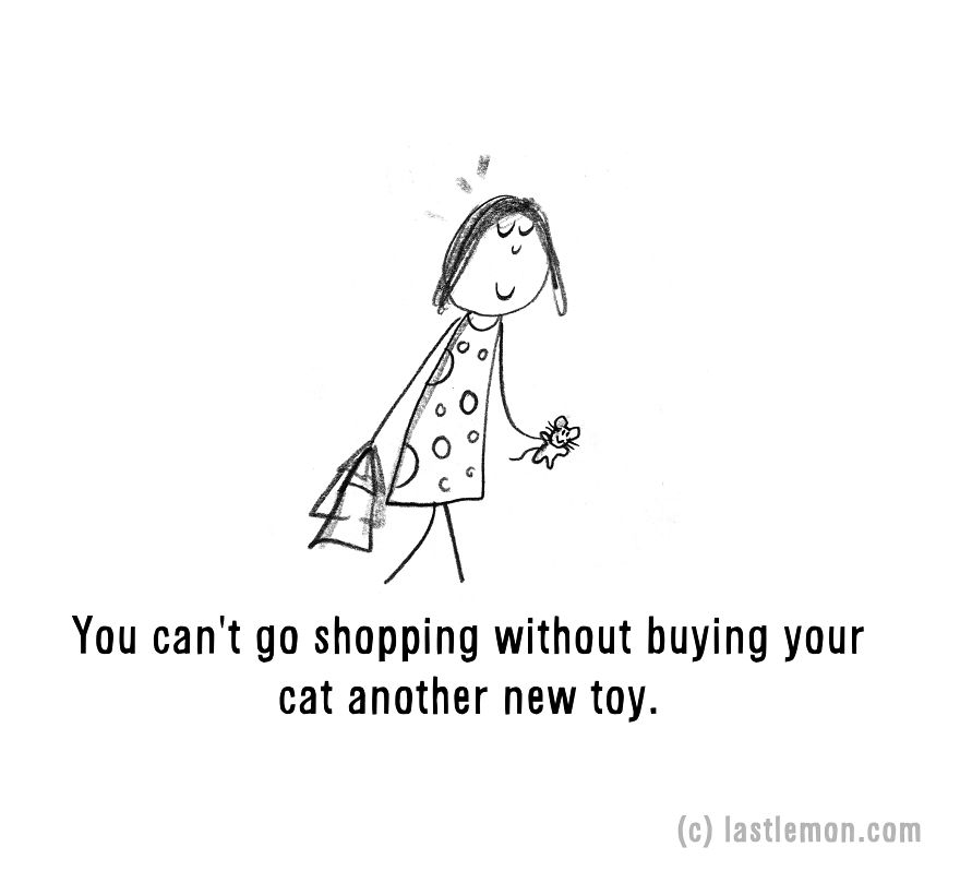 20 Signs That You&#8217;re A Crazy Cat Parent