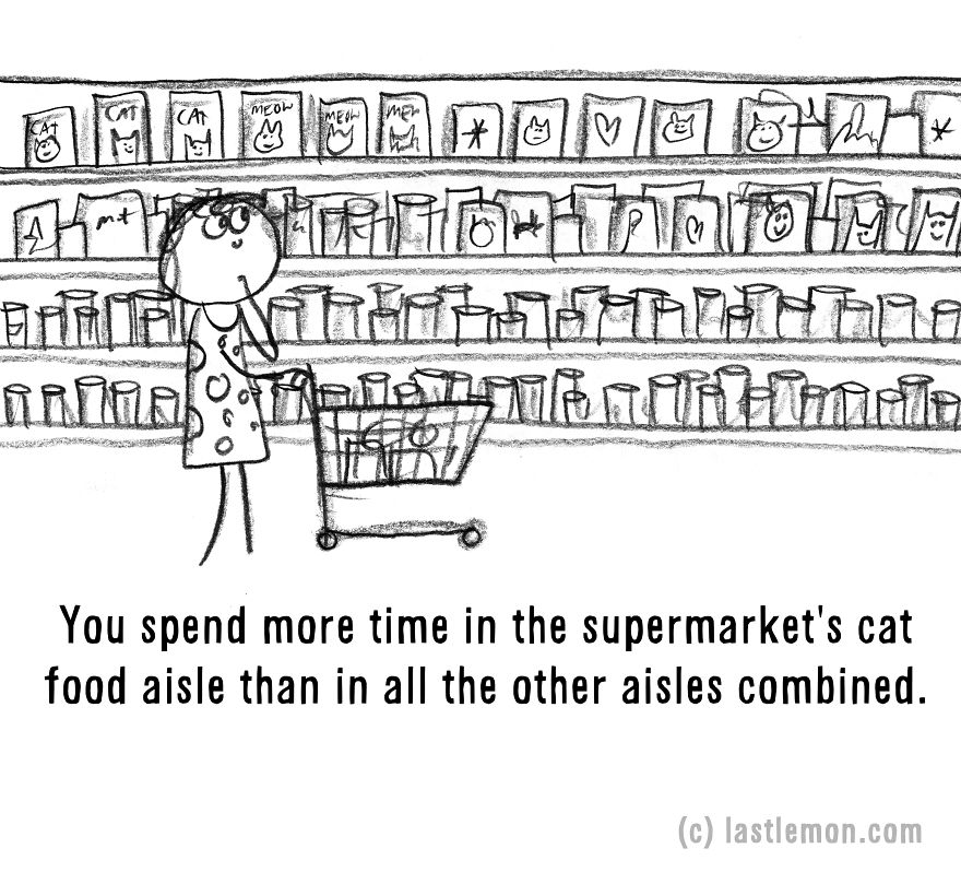 20 Signs That You&#8217;re A Crazy Cat Parent