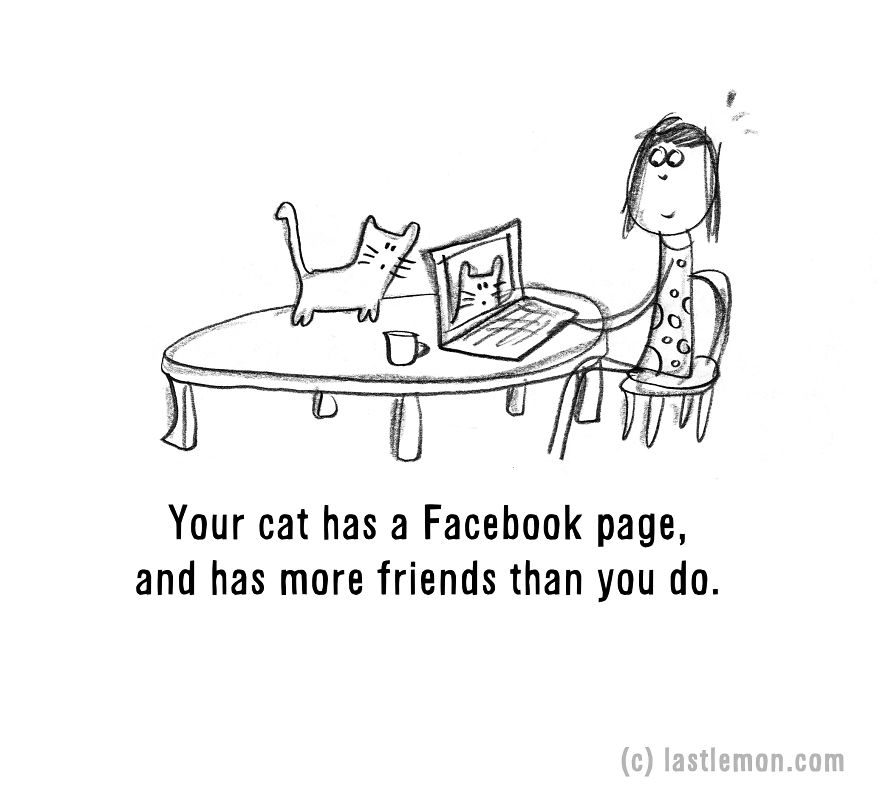 20 Signs That You&#8217;re A Crazy Cat Parent