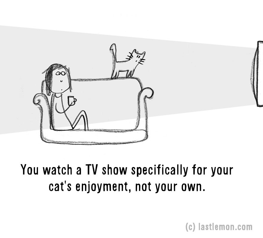 20 Signs That You&#8217;re A Crazy Cat Parent